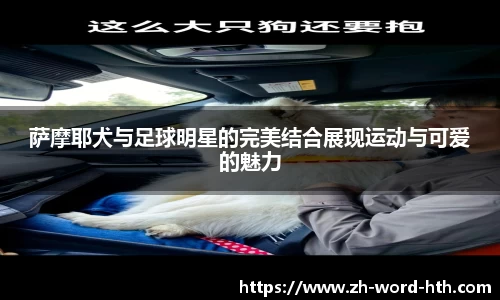 萨摩耶犬与足球明星的完美结合展现运动与可爱的魅力